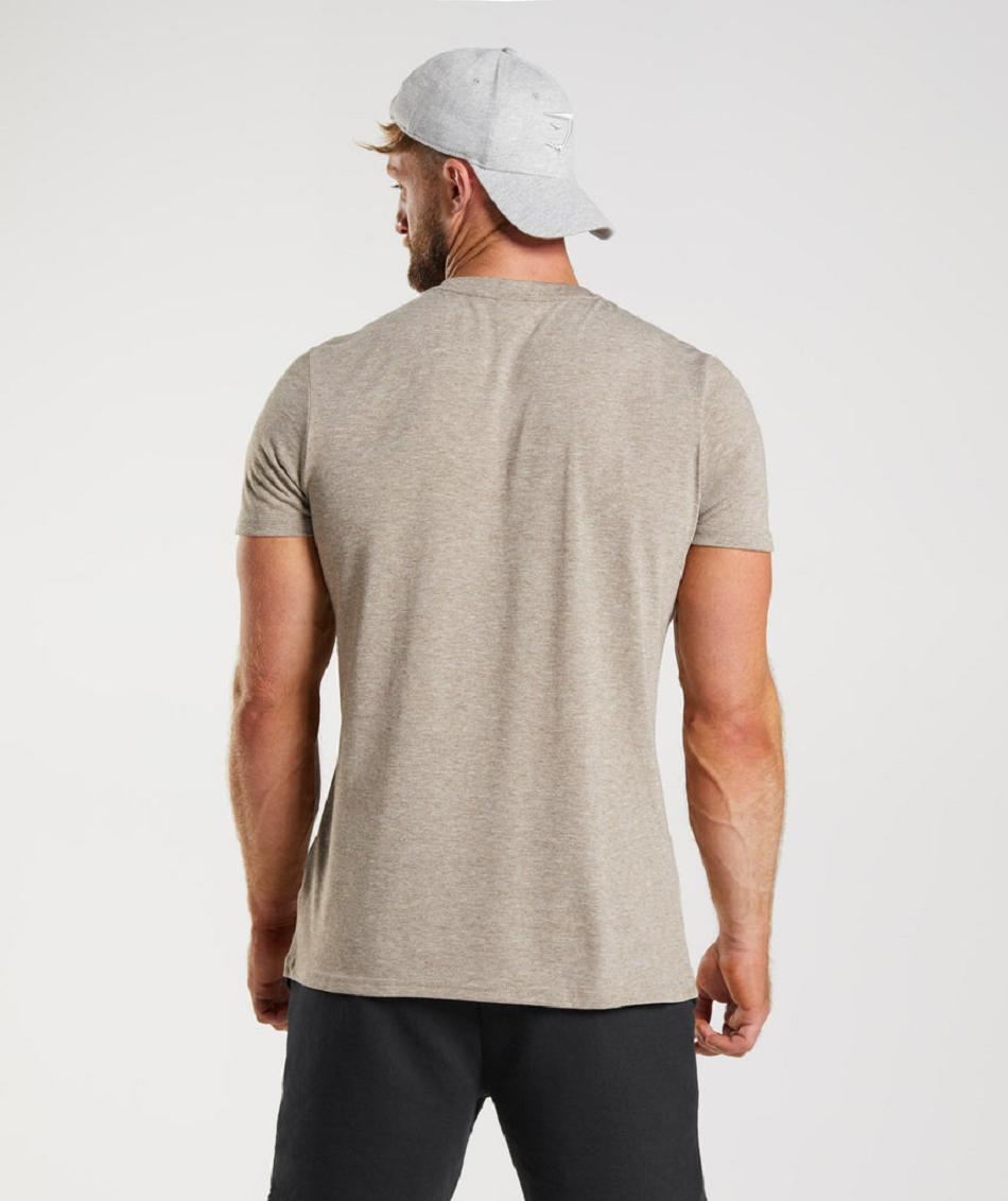 T Shirts Męskie Gymshark Legacy Szare | PL 3833BEX